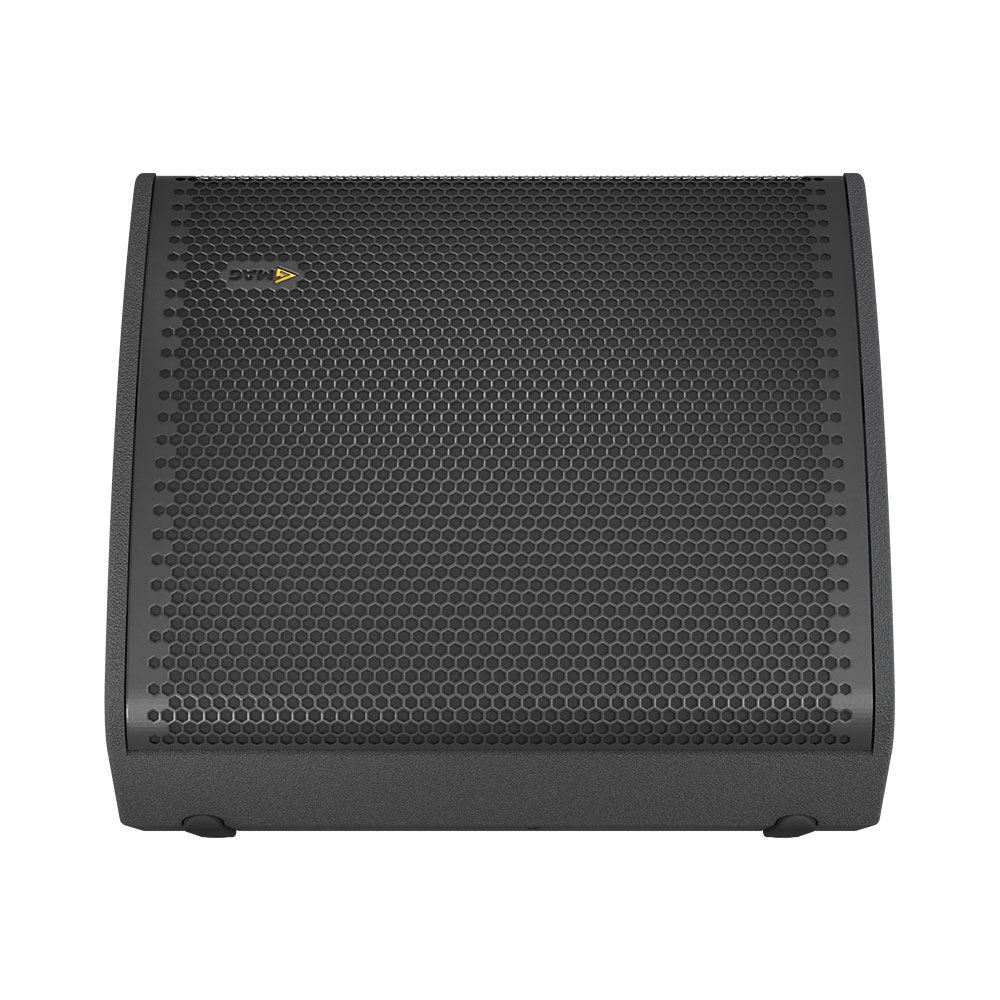 Mag Audio Focus-5, Passive Stage Monitor