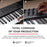 M-Audio Oxygen 49 V – 49 Key USB MIDI Keyboard Controller With Beat Pads, Smart Chord & Scale Modes, Arpeggiator and Software Suite Included