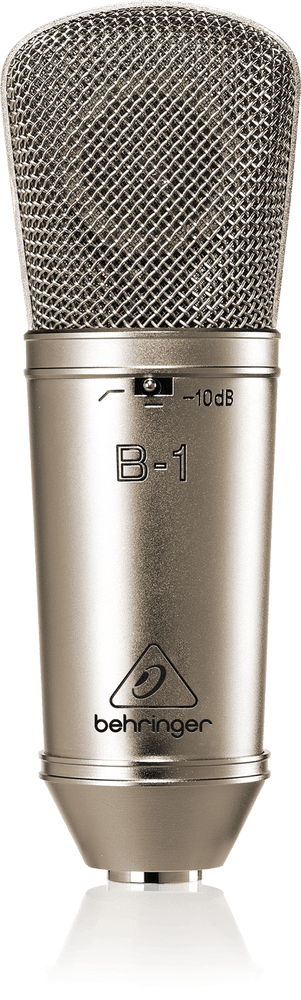 Behringer B-1 Condensor Microphones