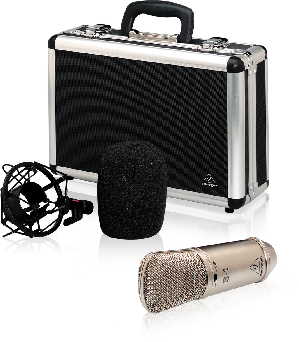 Behringer B-1 Condensor Microphones