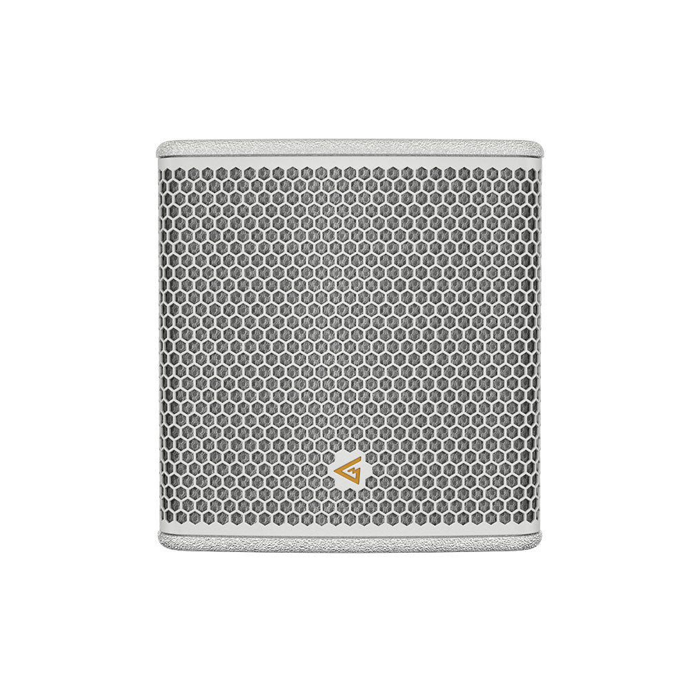 Mag Audio Sting-6Q-16 Passive Point Source Speaker