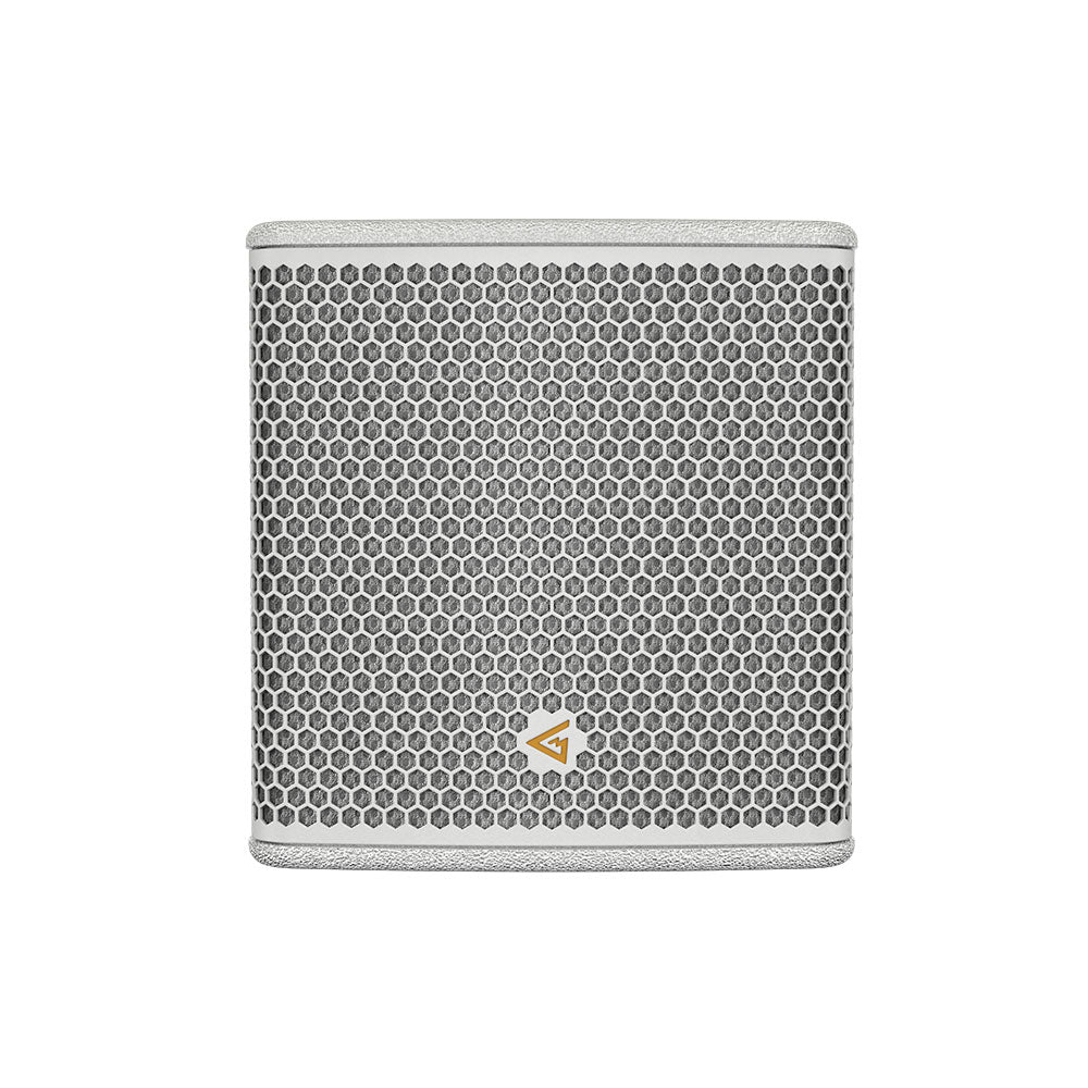 Mag Audio Sting-6Qi Installation Point Source Speaker