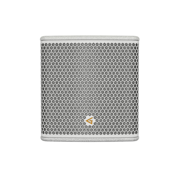 Mag Audio Sting-6Qi Installation Point Source Speaker