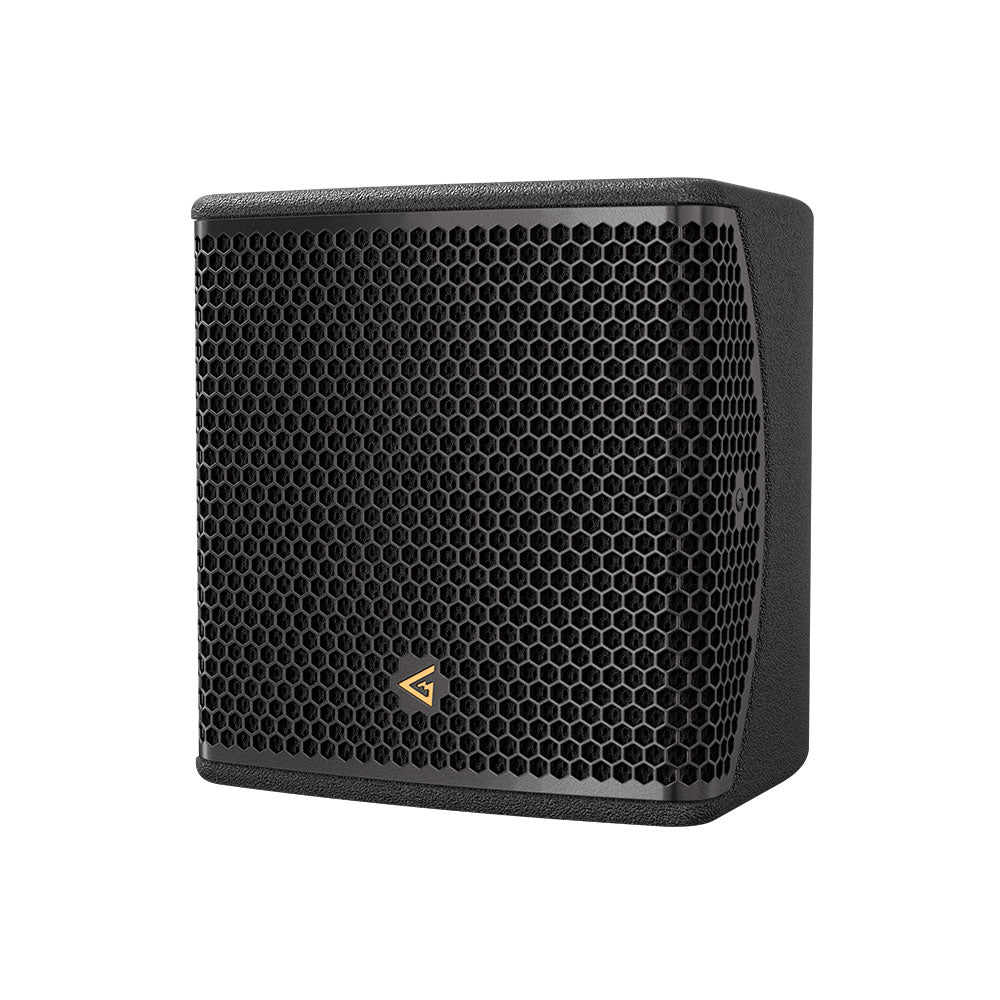 Mag Audio Sting-6Q-16 Passive Point Source Speaker